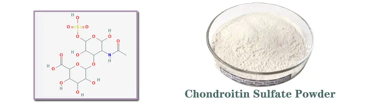 Chondroitin Sulfate Powder Factory.jpg